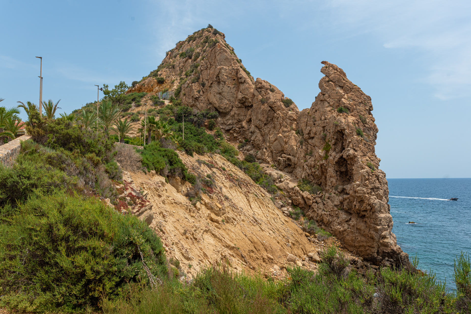 02 pico aguilica1